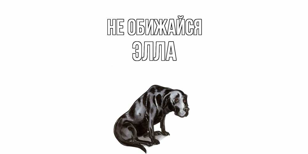 Открытка на каждый день с именем, Элла Не обижайся грустная собака на открытке с подписью прости меня Прикольная открытка с пожеланием онлайн скачать бесплатно 