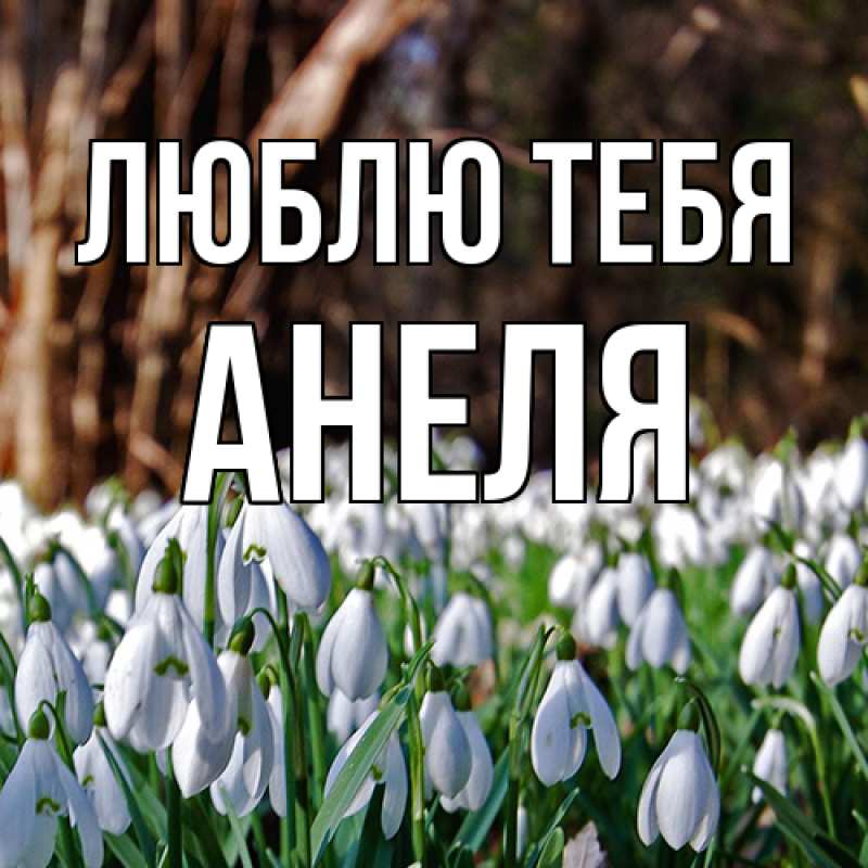 Картинка Люблю тебя, Анеля