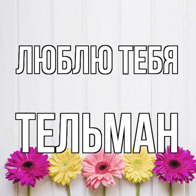 Картинка Люблю тебя, Тельман