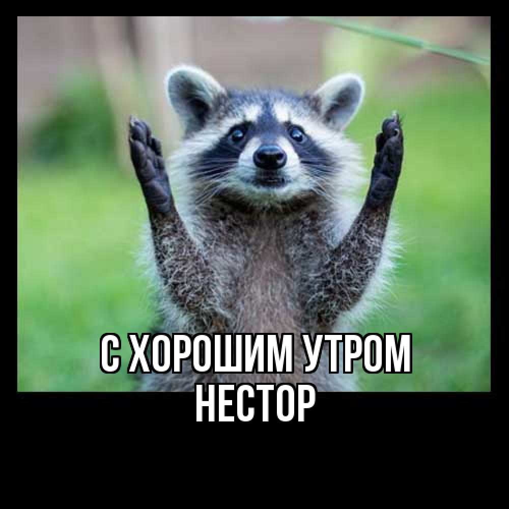 Открытка на каждый день с именем, Нестор С хорошим утром хорошее настроение утречком Прикольная открытка с пожеланием онлайн скачать бесплатно 