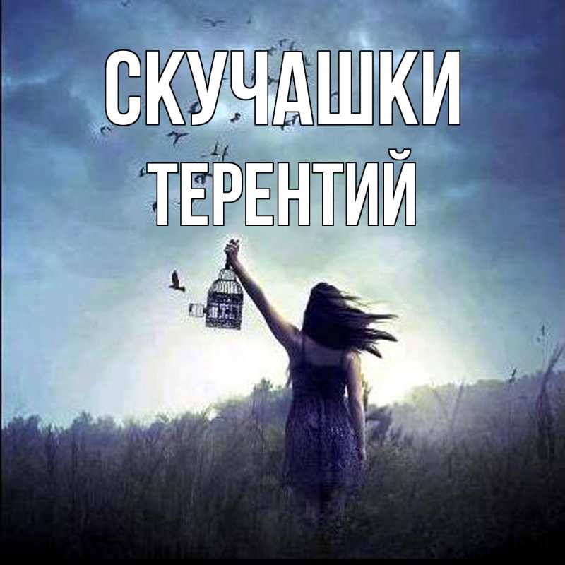 Картинка Скучашки, Терентий