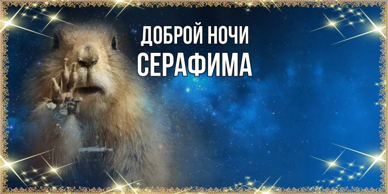 Картинка Доброй ночи, Серафима
