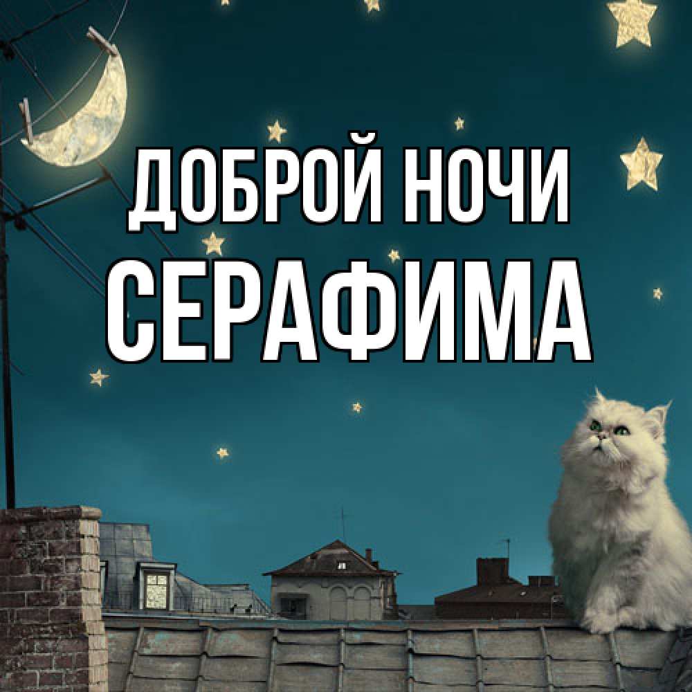 Открытка на каждый день с именем, Серафима Доброй ночи белый кот сидит на крыше Прикольная открытка с пожеланием онлайн скачать бесплатно 