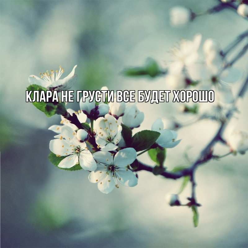 Картинка Не грусти, все будет хорошо, Клара