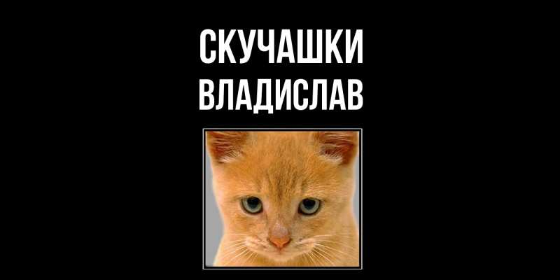 Картинка Скучашки, Владислав