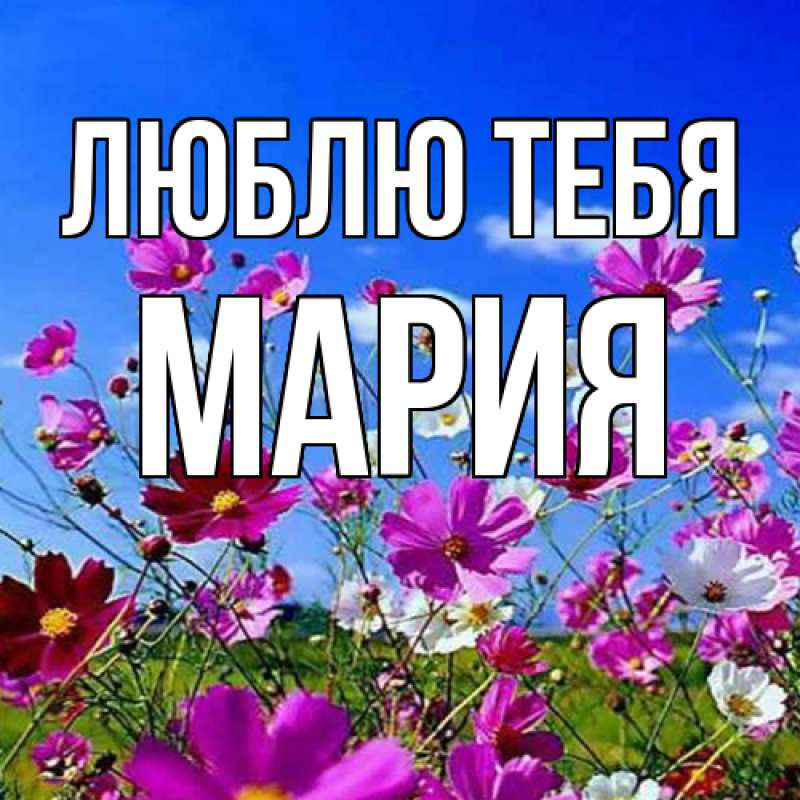 Картинка Люблю тебя, Мария