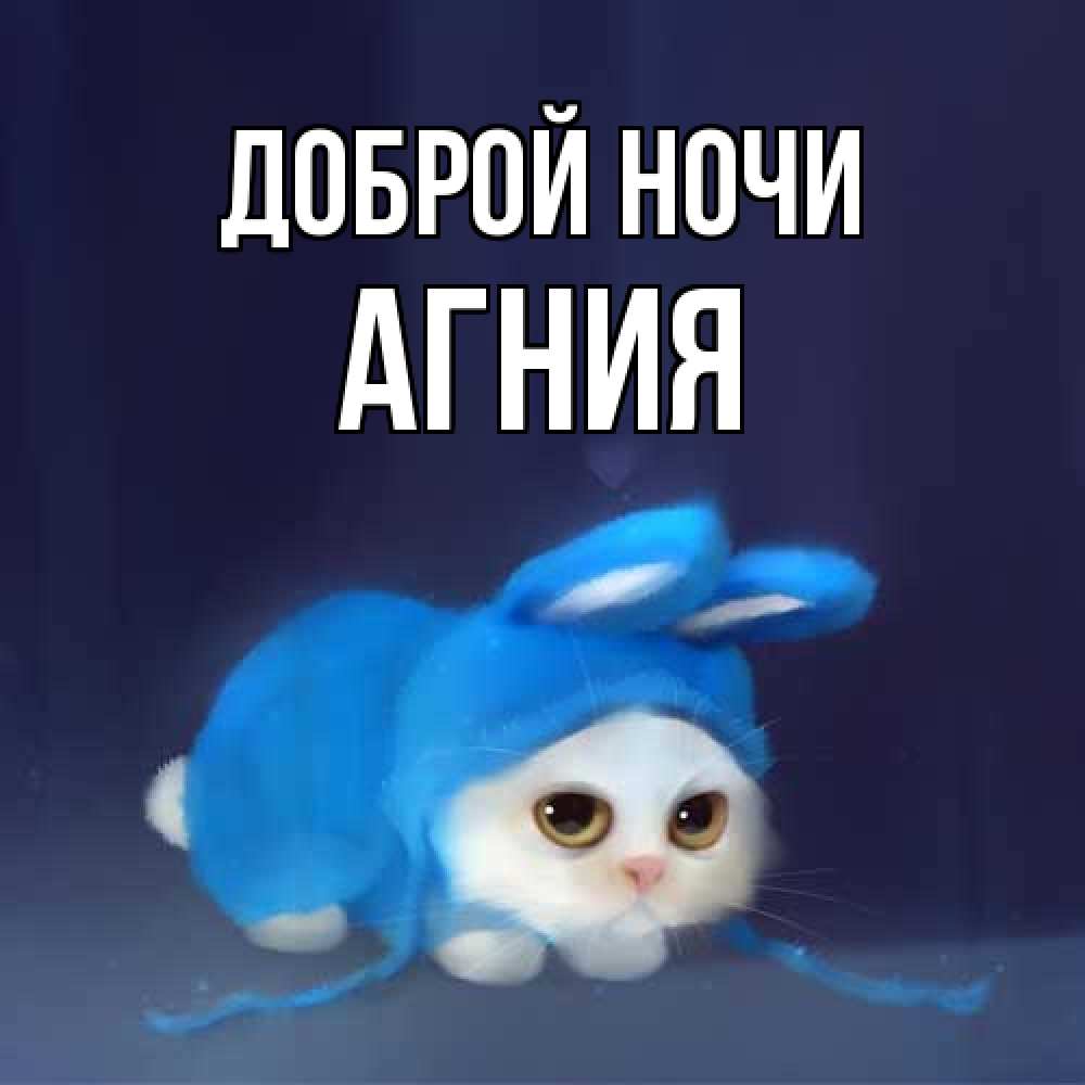 Открытка на каждый день с именем, Агния Доброй ночи кот в голубом костюме кролика с ушками Прикольная открытка с пожеланием онлайн скачать бесплатно 