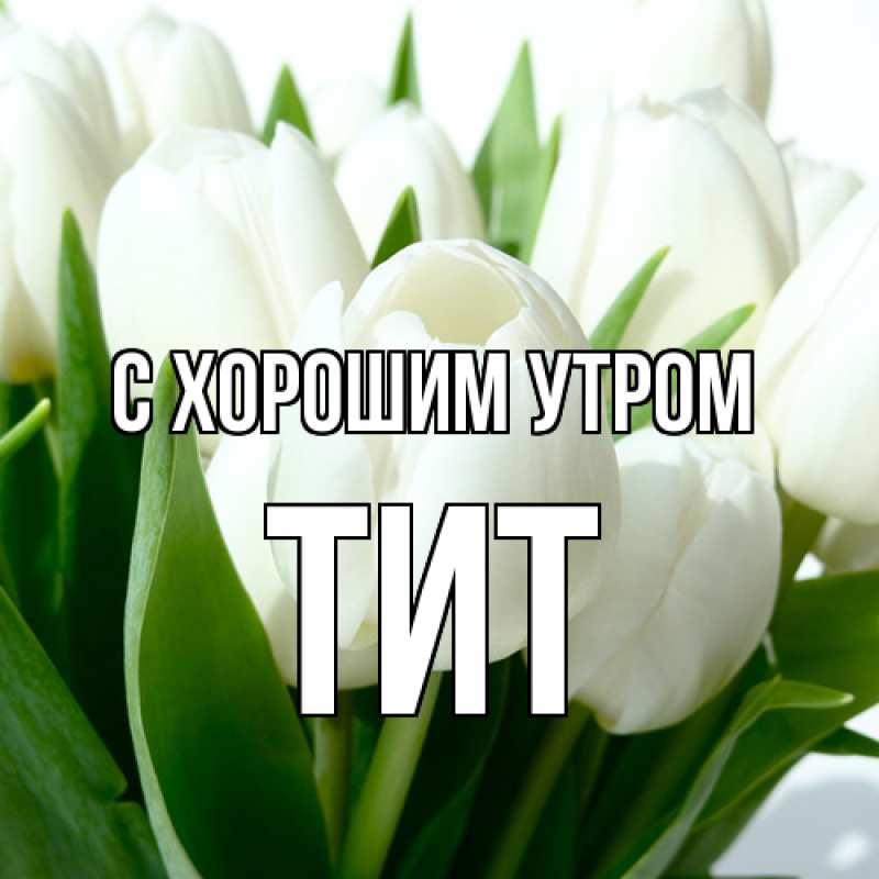 Картинка С хорошим утром, Тит