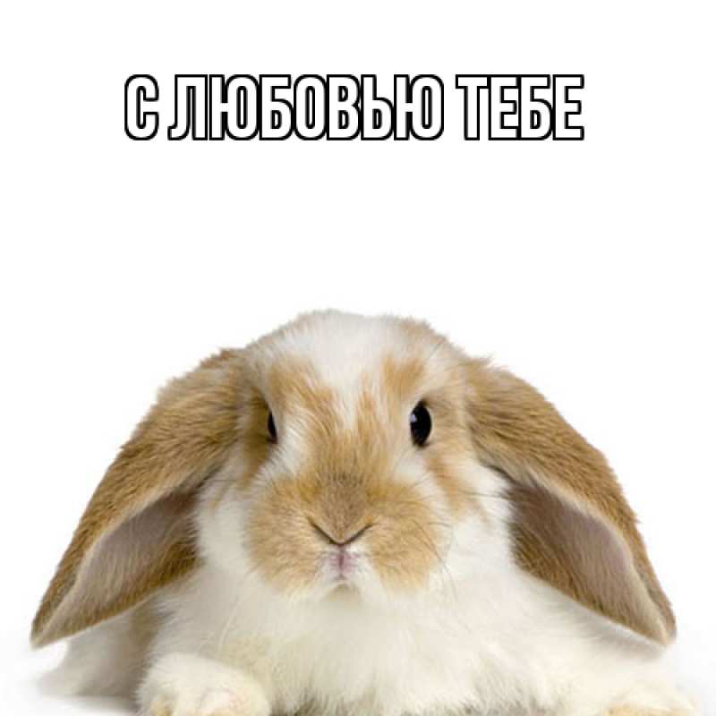 Открытка с именем, Весна, Как дела