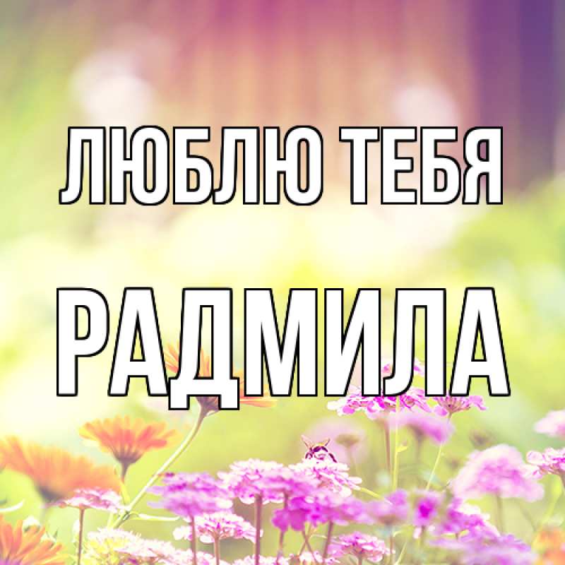 Картинка Люблю тебя, Радмила