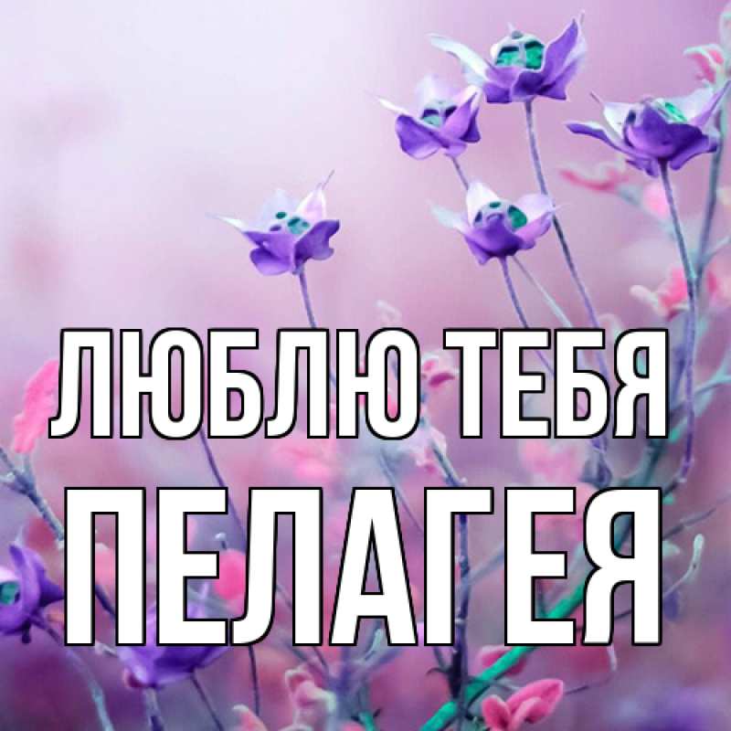 Картинка Люблю тебя, Пелагея