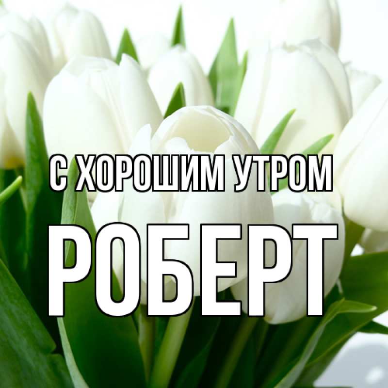 Картинка С хорошим утром, Роберт