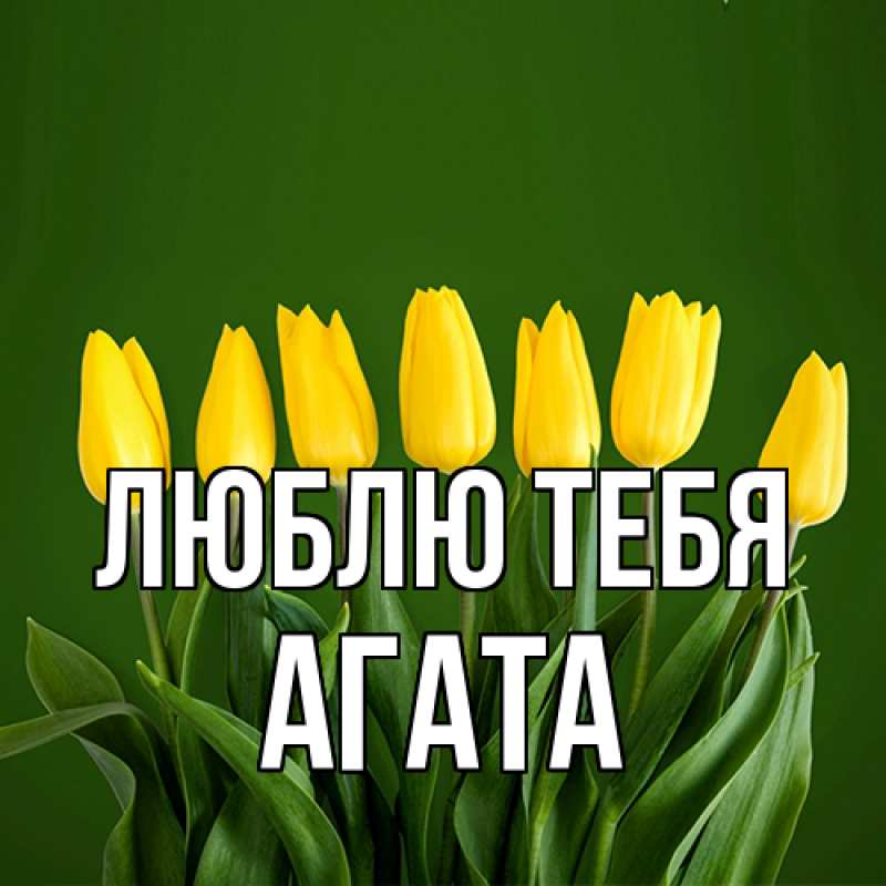 Картинка Люблю тебя, Агата