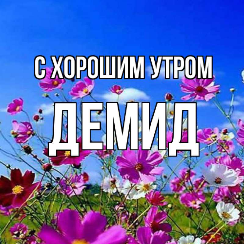 Картинка С хорошим утром, Демид