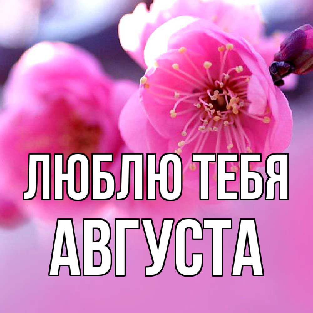 Открытка на каждый день с именем, Августа Люблю тебя международный женский день Прикольная открытка с пожеланием онлайн скачать бесплатно 