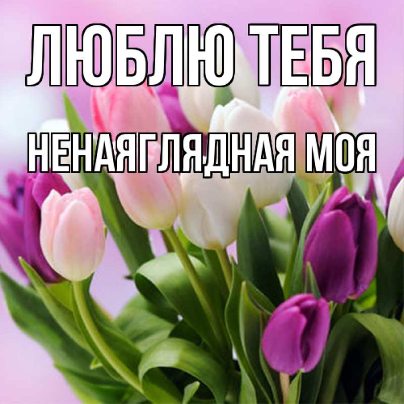 Картинка Люблю тебя, Ненаяглядная моя