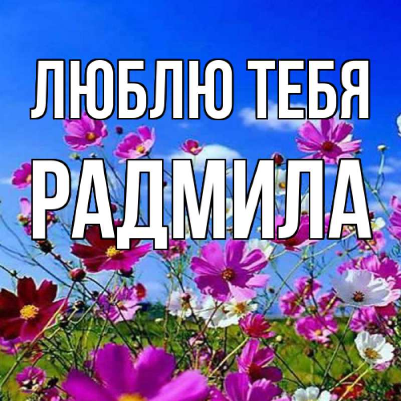 Картинка Люблю тебя, Радмила