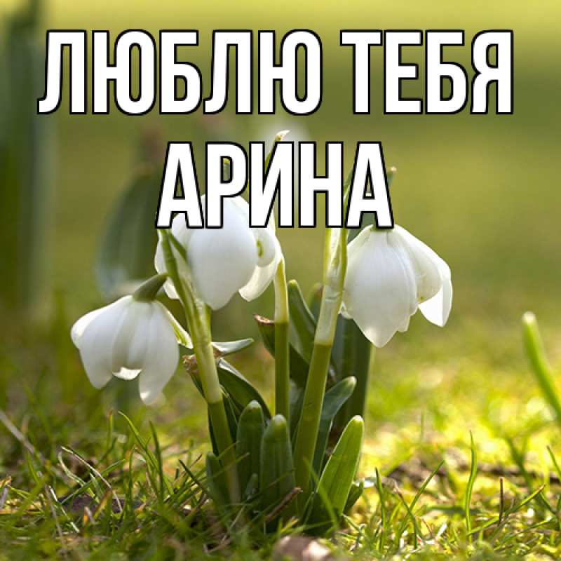 Картинка Люблю тебя, Арина