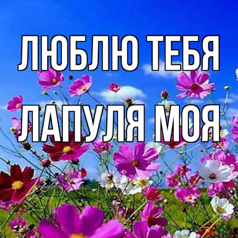 Картинка Люблю тебя, Лапуля моя