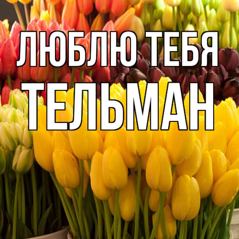 Картинка Люблю тебя, Тельман