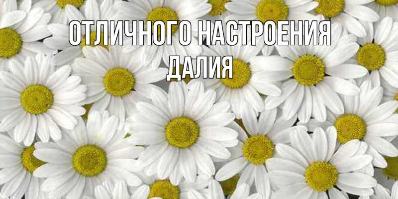 Открытка с именем, Далия, Отличного настроения