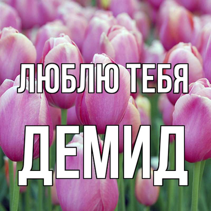 Картинка Люблю тебя, Демид