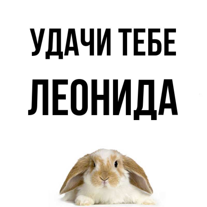 Картинка Удачи тебе, Леонида