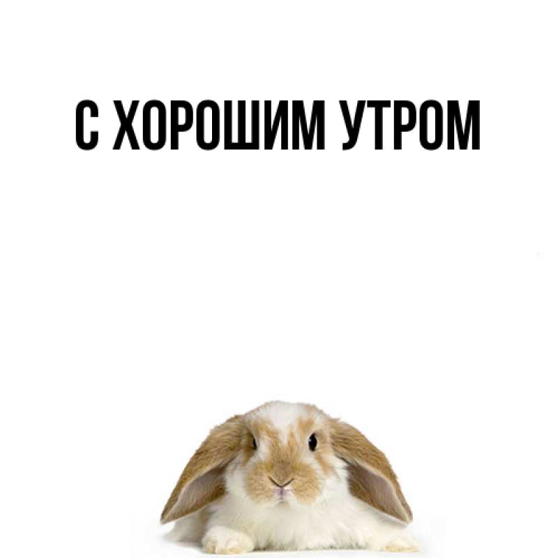 Картинка Удачи тебе, Кора