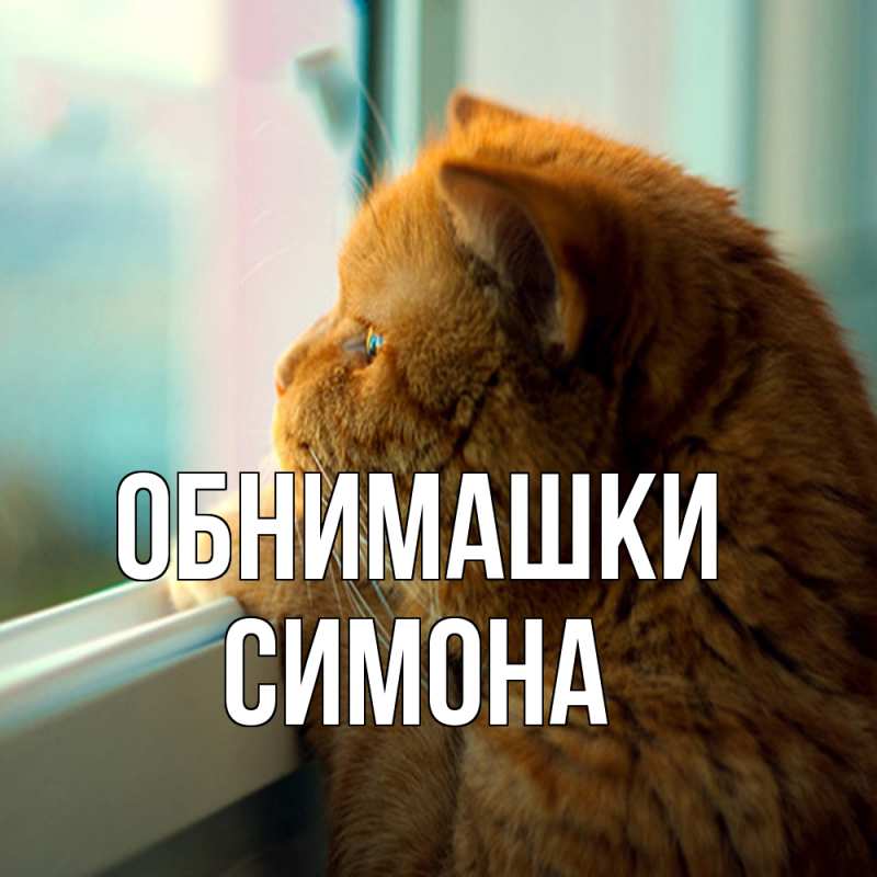 Картинка Обнимашки, Симона