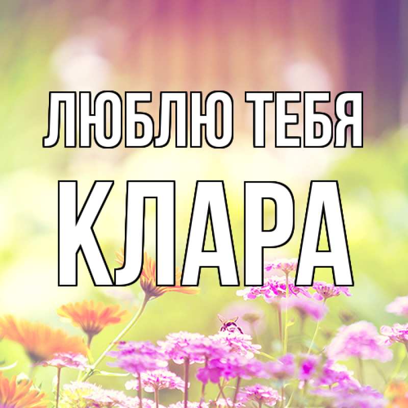 Картинка Люблю тебя, Клара