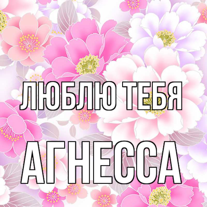 Картинка Люблю тебя, Агнесса