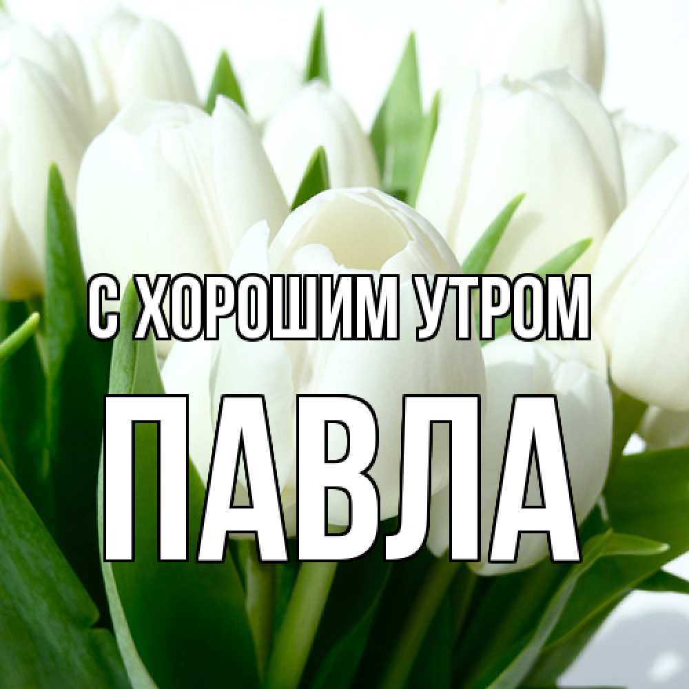 Открытка на каждый день с именем, Павла С хорошим утром открытки на каждый день по именам Прикольная открытка с пожеланием онлайн скачать бесплатно 