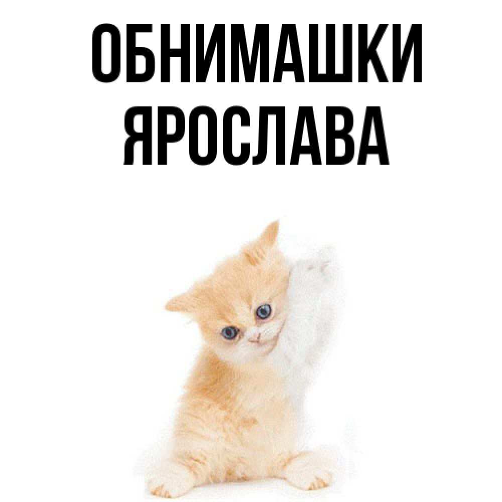 Открытка на каждый день с именем, Ярослава Обнимашки я хочу очень скорее обнимаешек Прикольная открытка с пожеланием онлайн скачать бесплатно 