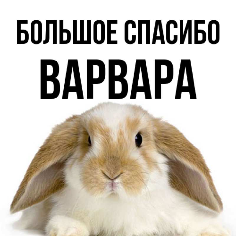 Картинка Большое спасибо, Варвара
