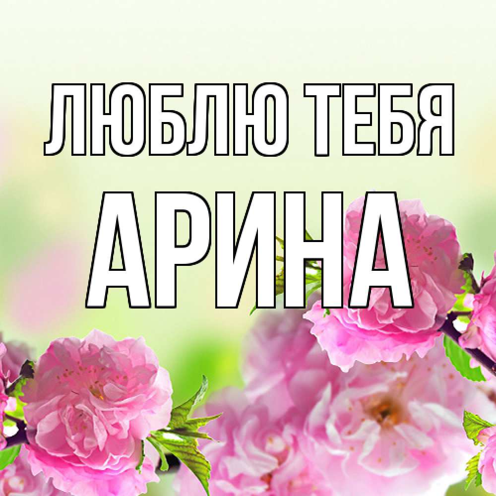 Открытка на каждый день с именем, Арина Люблю тебя цветы Прикольная открытка с пожеланием онлайн скачать бесплатно 