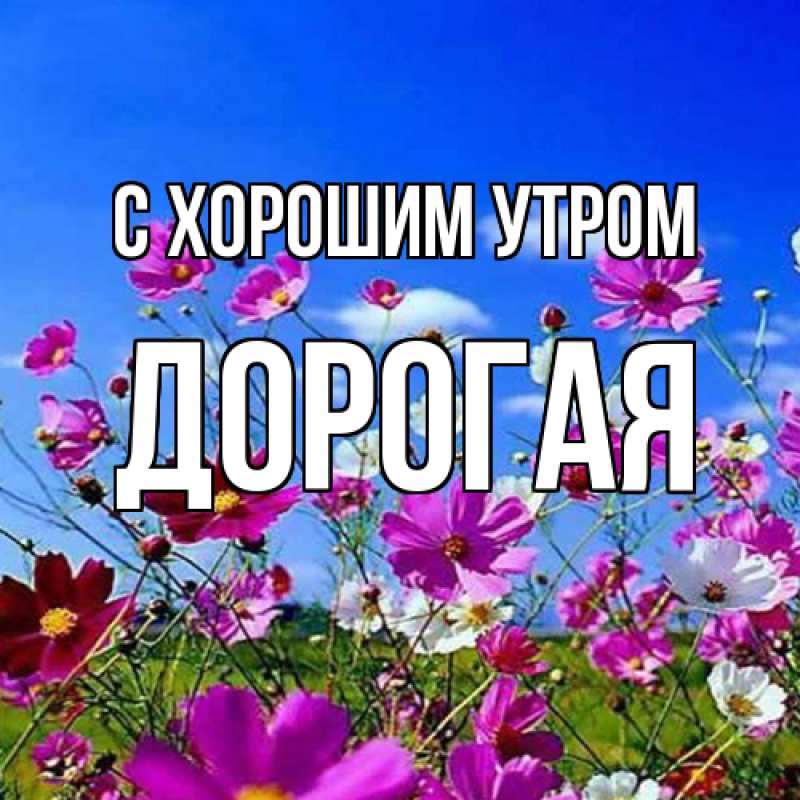 Картинка С хорошим утром, Дорогая