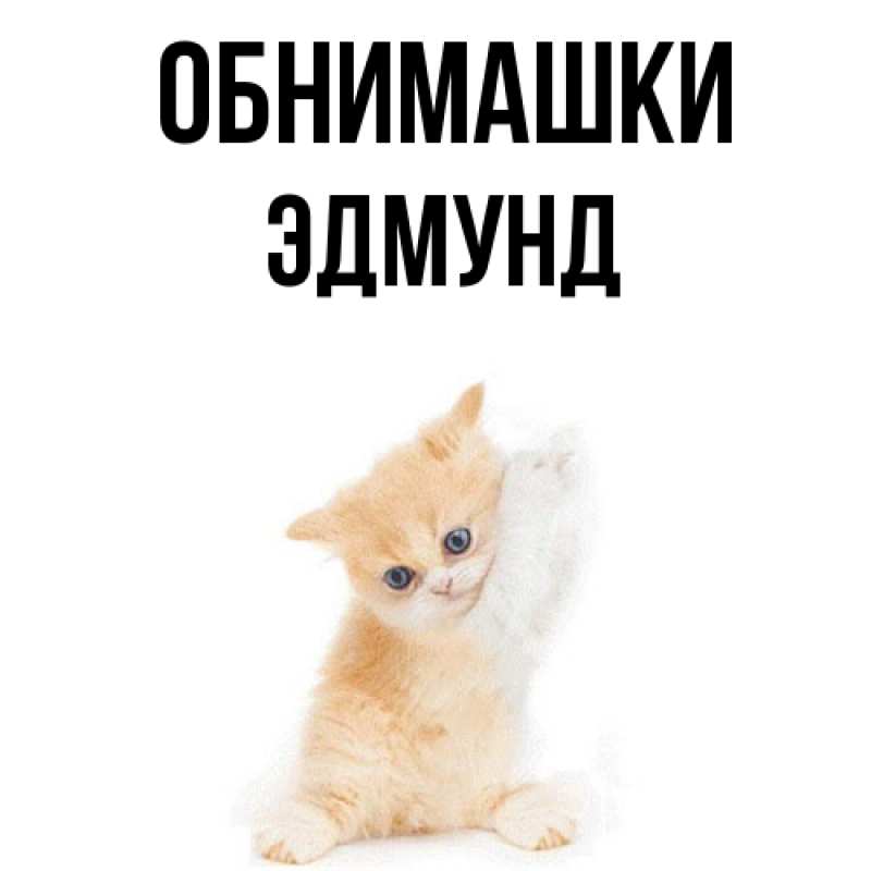 Открытка с именем, Эдмунд, Обнимашки