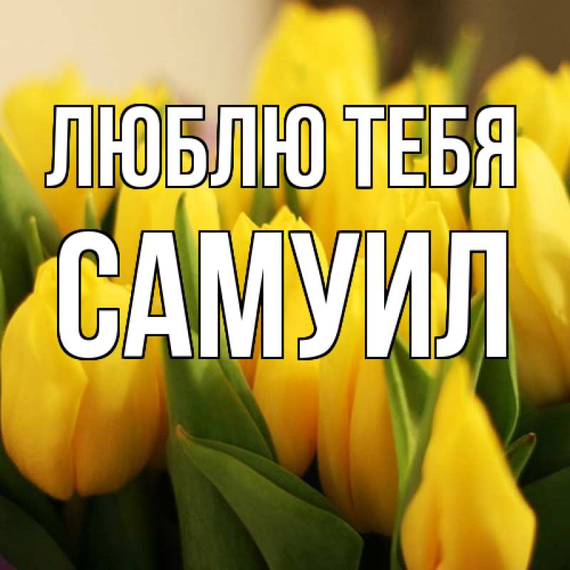 Картинка Люблю тебя, Самуил