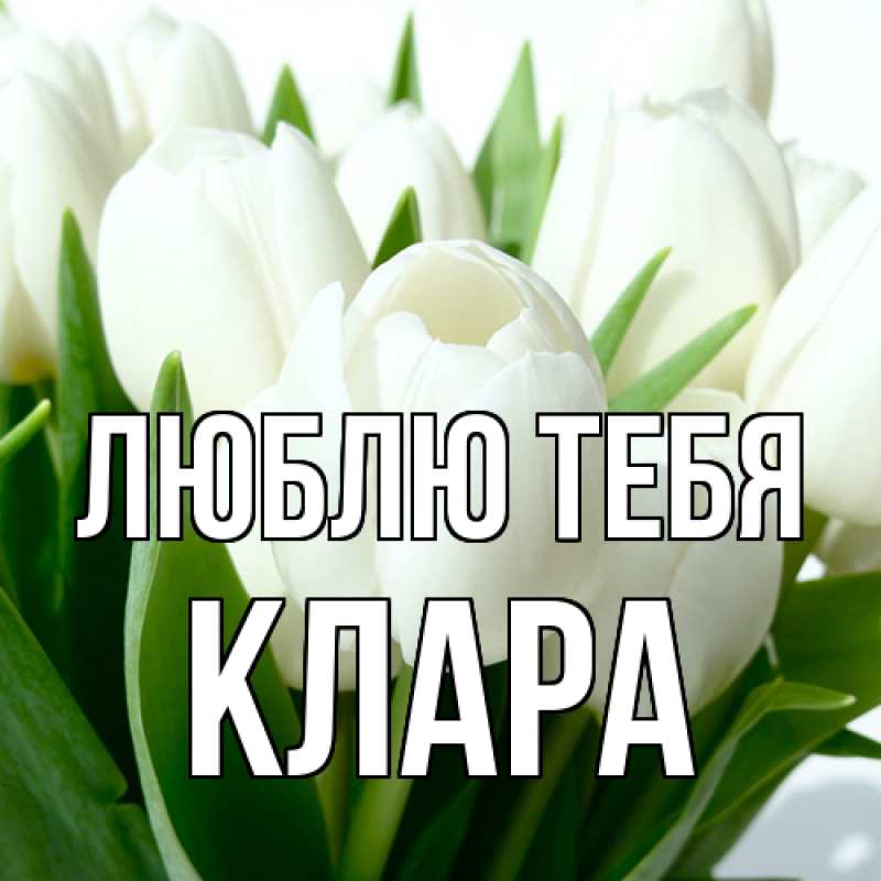 Картинка Люблю тебя, Клара