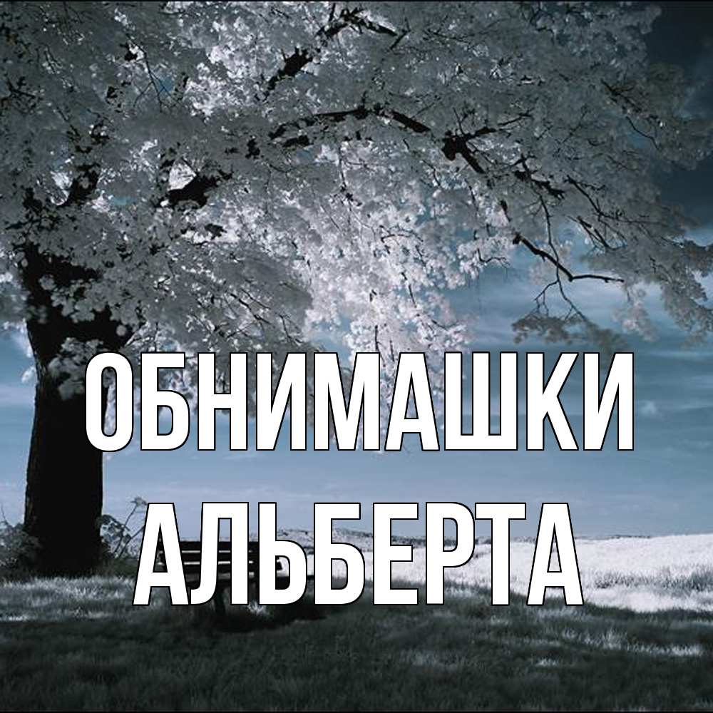 Открытка на каждый день с именем, Альберта Обнимашки дерево Прикольная открытка с пожеланием онлайн скачать бесплатно 