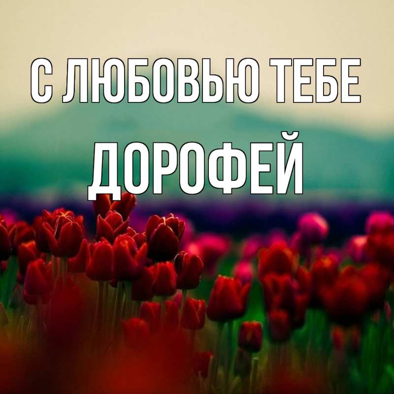 Открытка с именем, Дорофей, С любовью тебе