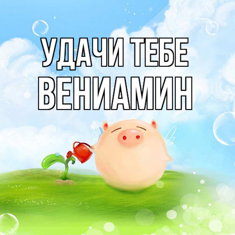 Картинка Удачи тебе, Вениамин