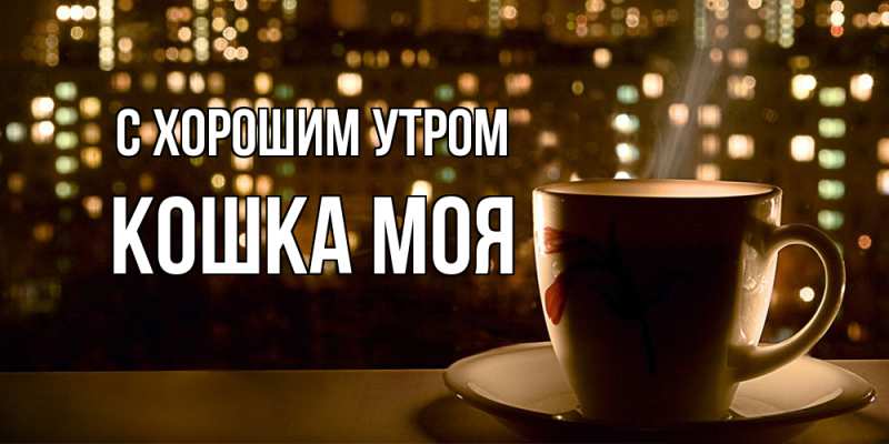 Картинка С хорошим утром, Кошка моя