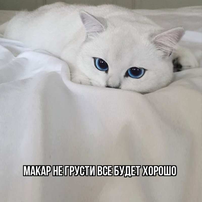 Картинка Не грусти, все будет хорошо, Макар