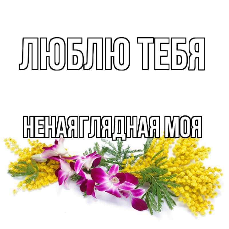 Картинка Люблю тебя, Ненаяглядная моя