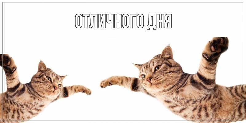 Картинка Как дела, Яков