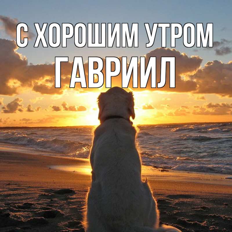 Картинка С хорошим утром, Гавриил
