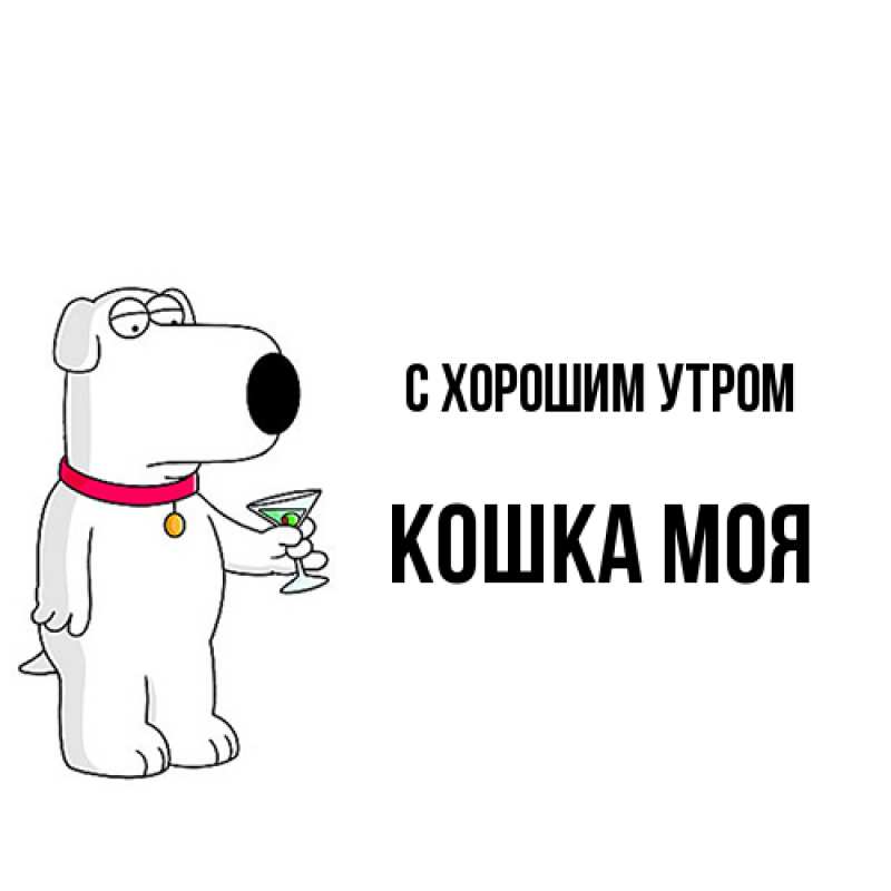 Картинка С хорошим утром, Кошка моя