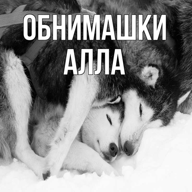 Открытка с именем, Алла, Обнимашки