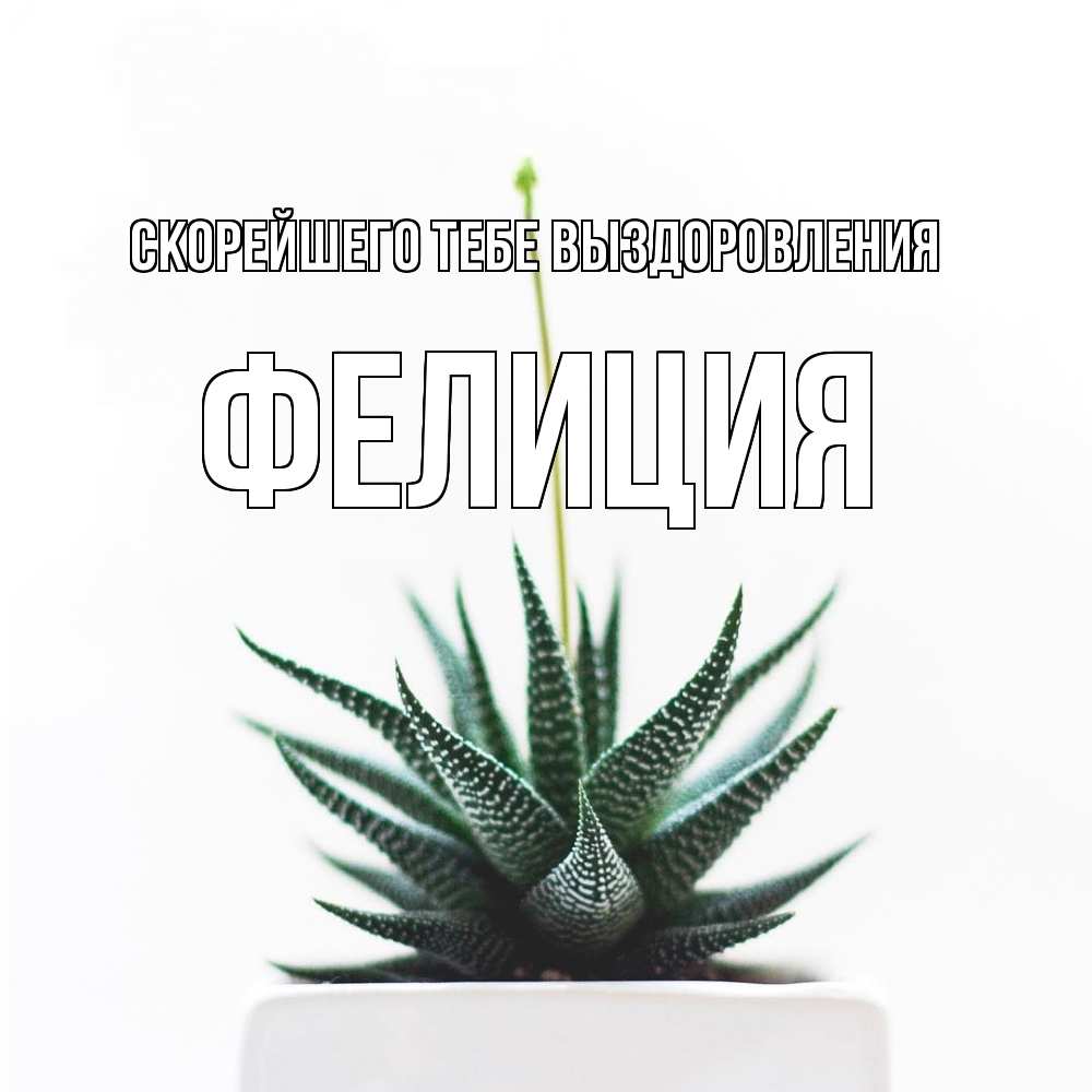 Открытка на каждый день с именем, Фелиция Скорейшего тебе выздоровления короче это непонятная колючка Прикольная открытка с пожеланием онлайн скачать бесплатно 